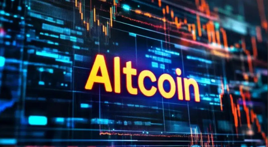Elixir, Zora, and Orderly Surge as New Listings Drive Investor Inflows