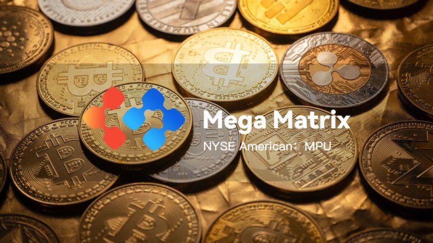 Mega Matrix Raises $16M to Anchor Corporate Treasuries with Stablecoin Yield Platform