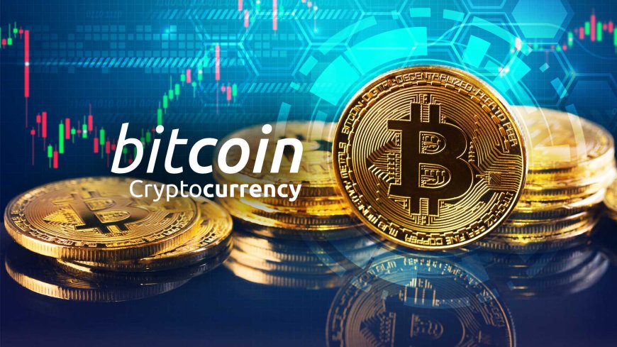 Ethereum Whale Wallets Rise as Bitcoin Whale Numbers Fall — Altcoin Rotation Gaining Momentum?